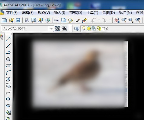 借助cad臨摹小鳥圖片的操作方法截圖