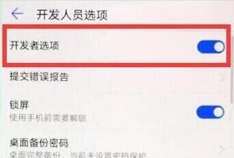 在華為p30pro中打開開發(fā)者選項(xiàng)的方法介紹截圖