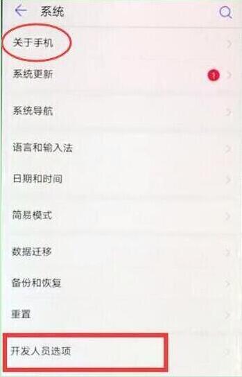 在華為p30pro中打開開發(fā)者選項(xiàng)的方法介紹截圖