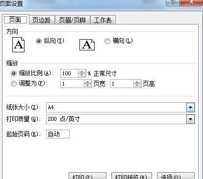 excel2007設(shè)置分頁符的詳細(xì)操作教程截圖