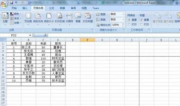 excel2007設(shè)置分頁符的詳細(xì)操作教程截圖