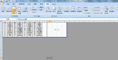 excel2007設(shè)置分頁符的詳細(xì)操作教程截圖