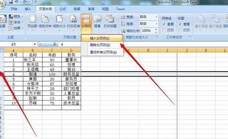 excel2007設(shè)置分頁符的詳細(xì)操作教程截圖