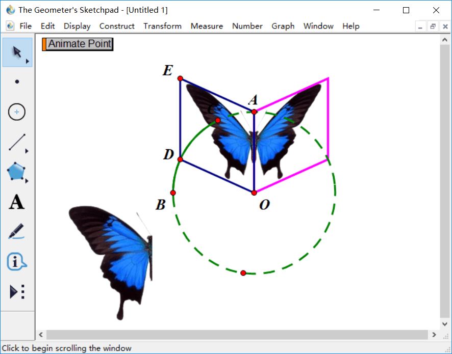 幾何畫板做出蝴蝶動畫的詳細過程截圖