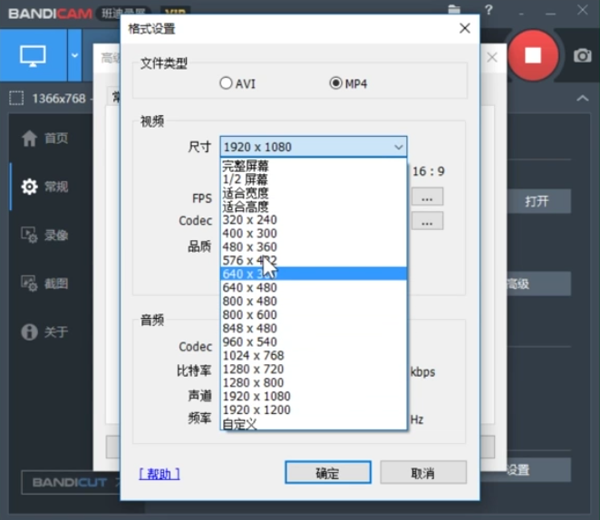 Bandicam設(shè)置錄制視頻尺寸的使用教程截圖
