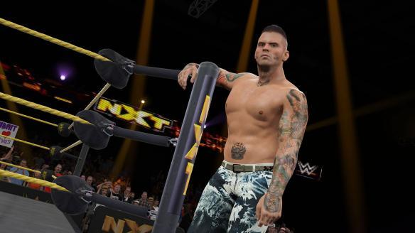 《WWE 2K15》粉絲向新手細節(jié)分享攻略